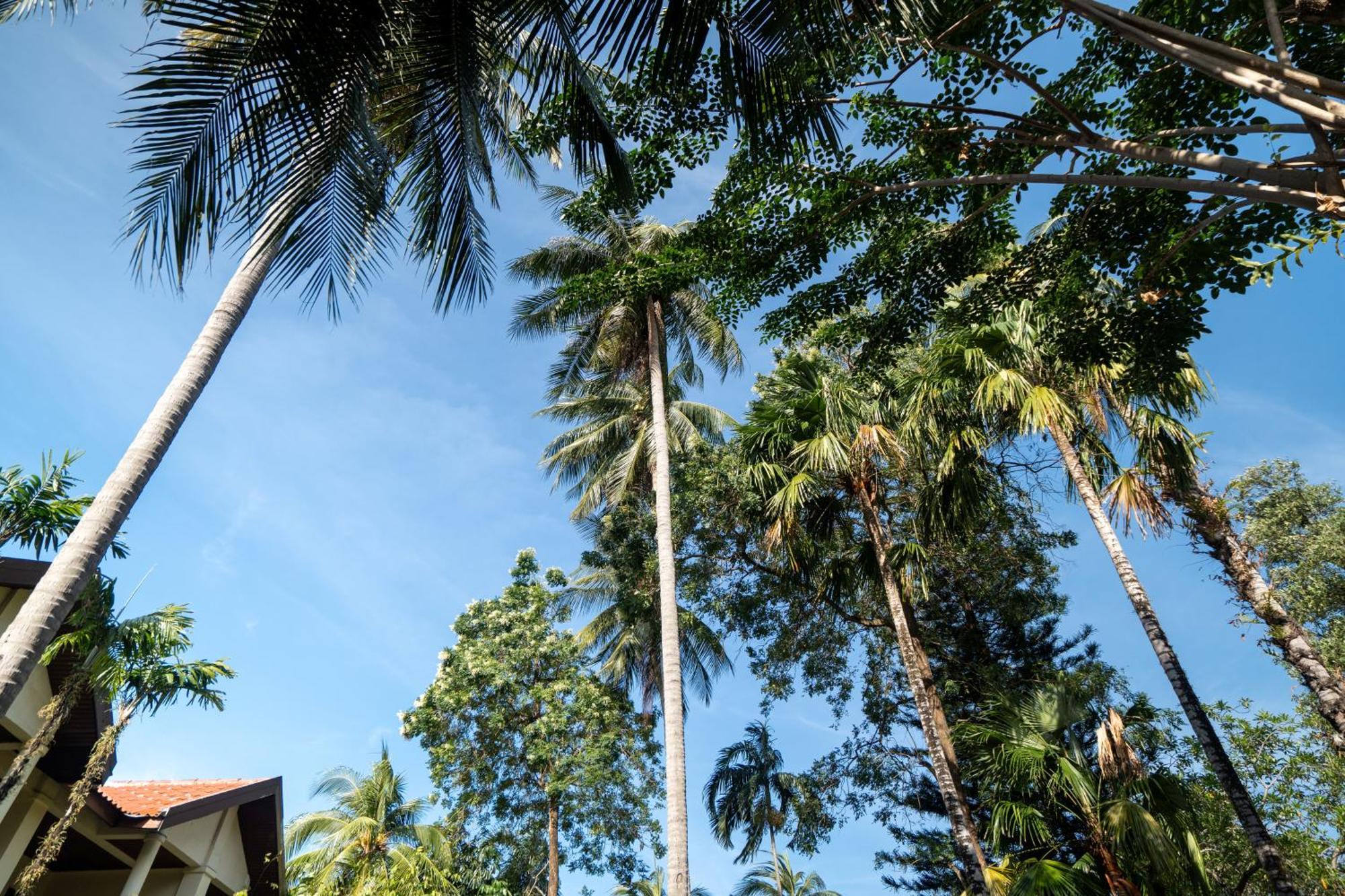 Phuket Leelavadee Hua Ting Resort Patong Buitenkant foto